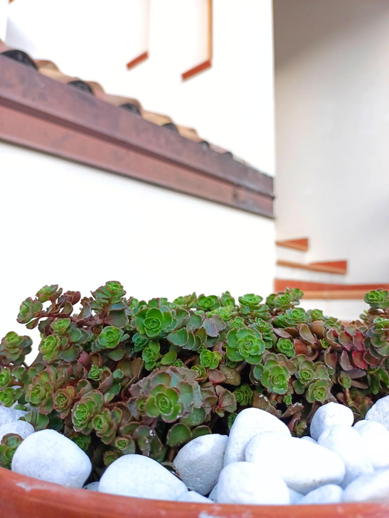 Le Sorgenti Guest House Ilbono Екстериор снимка