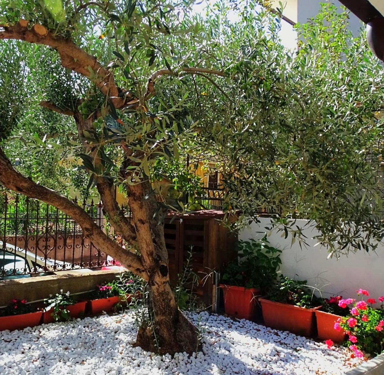 Le Sorgenti Guest House Ilbono Екстериор снимка