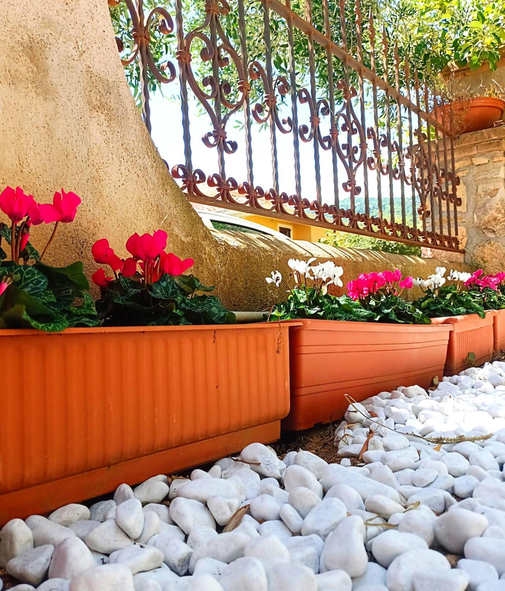 Le Sorgenti Guest House Ilbono Екстериор снимка